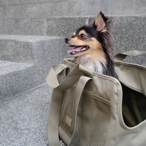 Lambwolf Collective SUBWAY Canvas Dog/Pet Carrier — Used, Very Good Condition